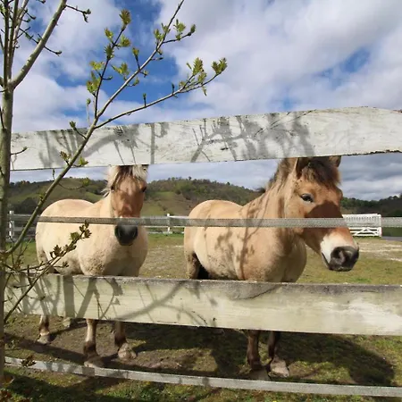 Casa vacanze Phordoy 3 *